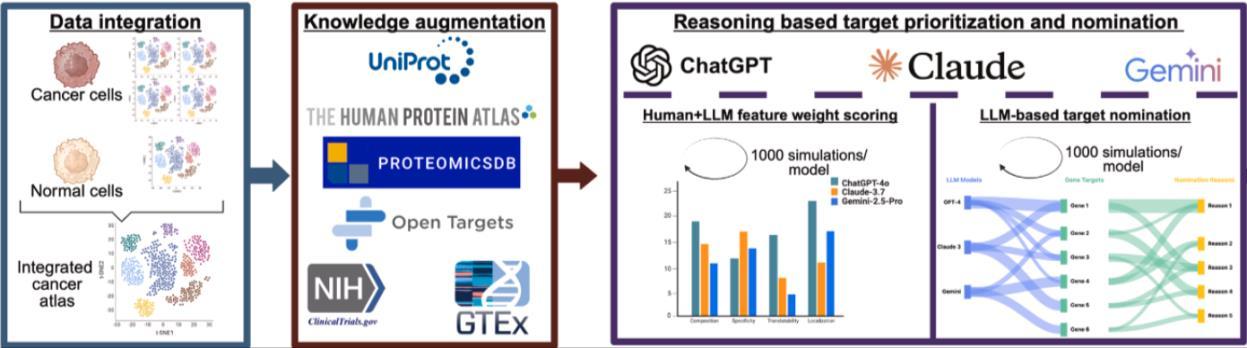 Three steps: data integration of cancer and normal cells into an integrated cancer atlas; knowledge augmentation from UniProt, the Human Protein Atlas, ProteomicsDB, Open Targets, ClinicalTrials.gov and GTEx; reasoning-based target prioritization and nomination with ChatGPT, Claude and Gemini.