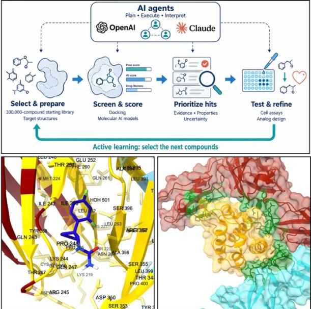 Top: AI agents plan, execute and interpret a loop of four steps: select and prepare, screen and score, prioritize hits, test and refine, with active learning selecting the next compounds. Bottom left: a molecule docked in a protein pocket. Bottom right: surface view of a receptor structure.